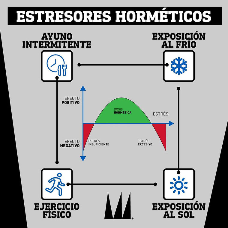 Hormesis: entendiendo al estrés bueno